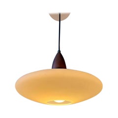 Milk Glass Pendant Light Philips Style Light Fixture Louis Kalff Opaline Lamp