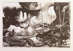 « The Islands », LACMA, Whitney Museum, lithographie sur pierre tonaliste du milieu du siècle dernier