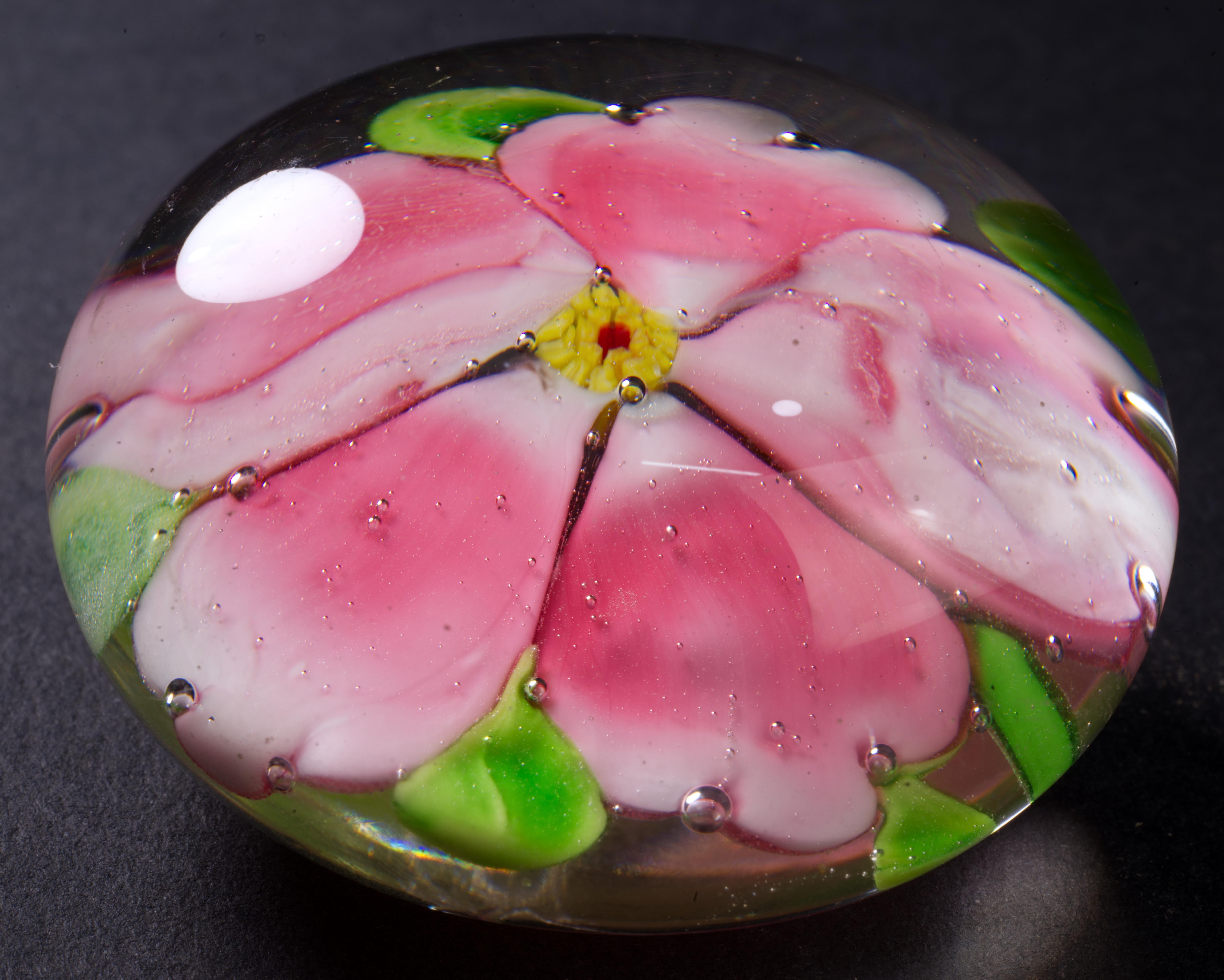 Ce petit presse-papier en travail de lampe représente une fleur délicate aux pétales roses et blancs, avec une seule canne de millefiori jaune et rouge au centre ; des feuilles vertes bicolores ornent la fleur, et des bulles contrôlées créent