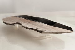 Coffee table Aquae. Millenary Olive Wood, and engraved black plexiglass