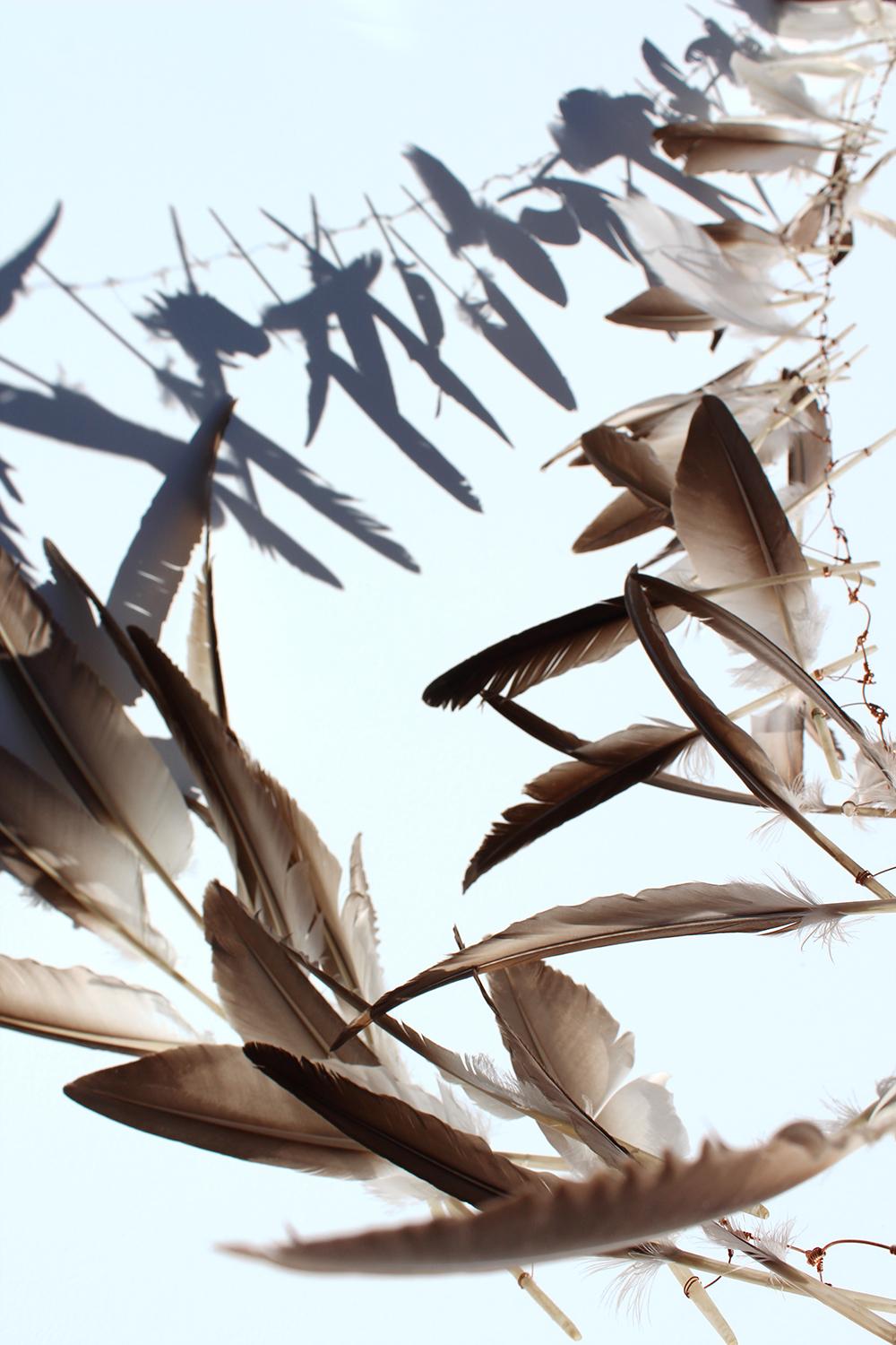 Miller Opie Still-Life Print - "Plume Umbra, III", print, feathers, shadows, blue, copper, orange, gold