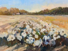 In Cotton by Millie Gosch Impressionist Plein Air Landscape Painting