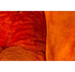 Milo Baughman für Thayer Coggin: Drehsessel „Satellite“ aus orangefarbenem Pelz