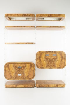 Milo Baughman Style Mid Century Burlwood Laminate and Lucite Bookcases, Pair