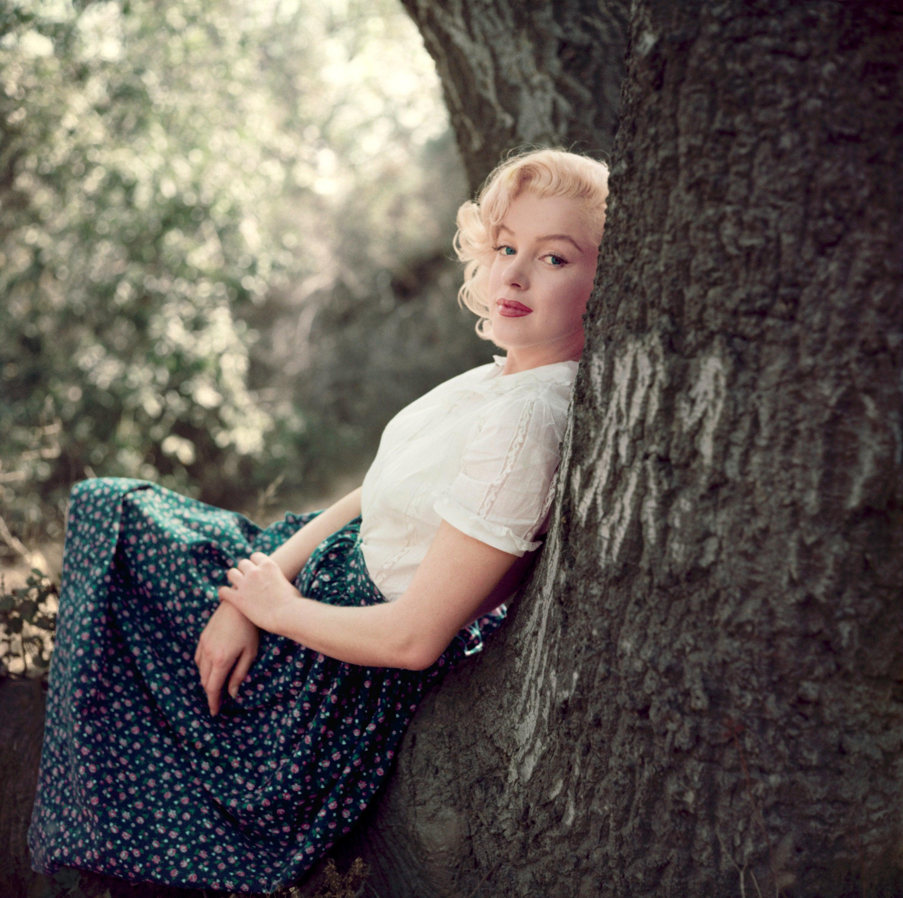 Milton H. Greene - Marilyn Monroe, assise dans un arbre, 1953, tirage d
après