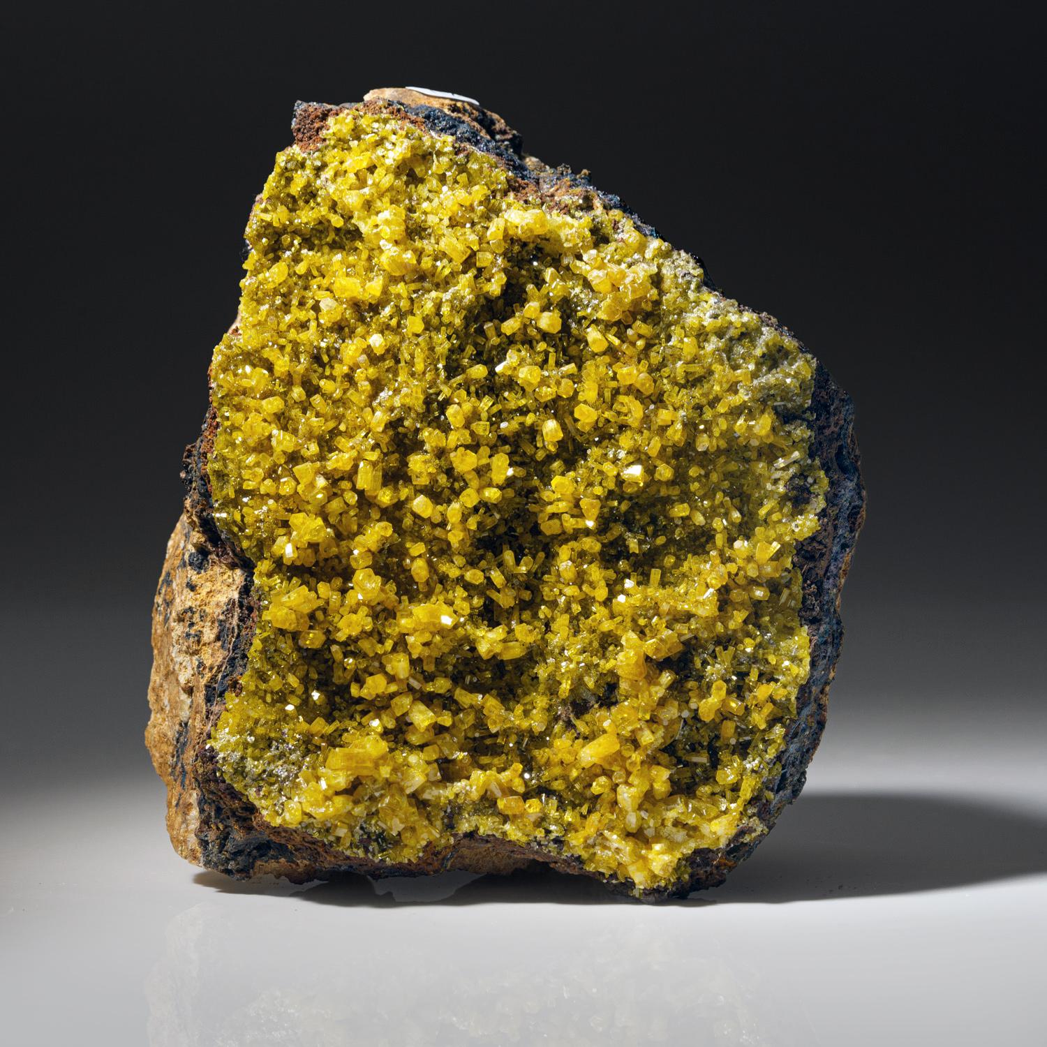 Mimetite from San Pedro Mine, San Pedro Corralitos, Chihuahua, Mexico

Well defined undamaged specimen of olive yellow-green ball aggregates of mimetite crystals covering on limonite gossan matrix. All crystals completely intact and undamaged with