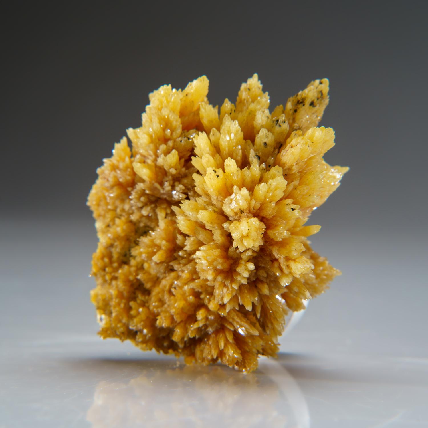Mimetite from Tsumeb Mine, Otavi-Bergland District, Oshikoto, Namibia In New Condition For Sale In New York, NY