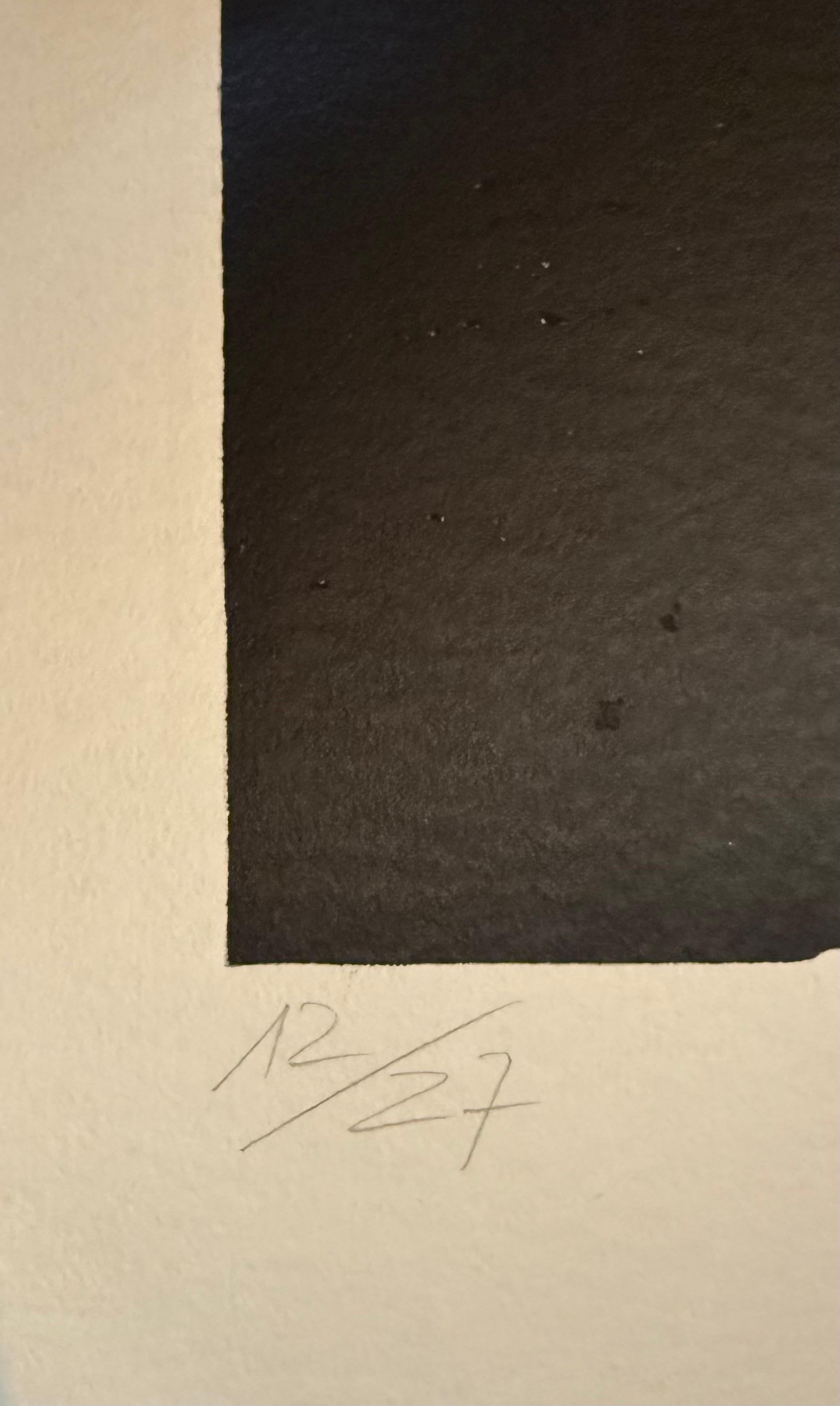 Großer italienischer neoexpressionistischer Mimmo Paladino Linoleum-Blockdruck Atlantico mit Linoleum-Druck im Angebot 7