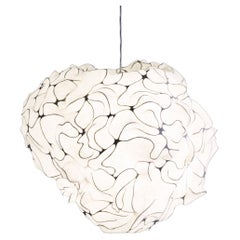 Mimosa Pendant Light