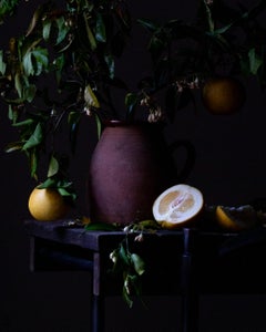 Grapefruit and It's Blossoms