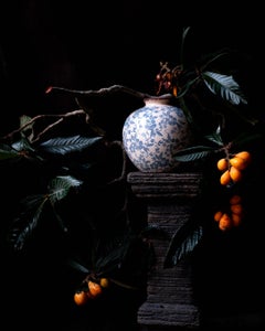 Loquat Branch