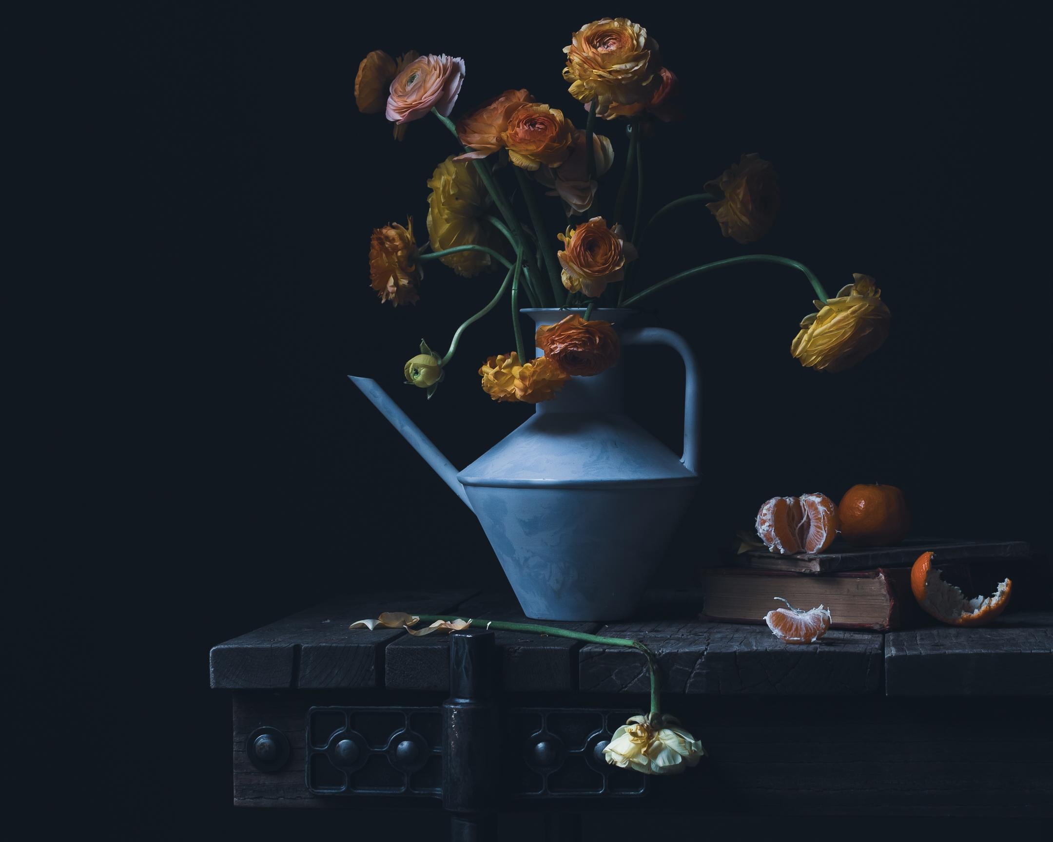 Mina Afshari Still-Life Photograph – Unbenannt