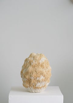 Alcicornis - Porcelaine