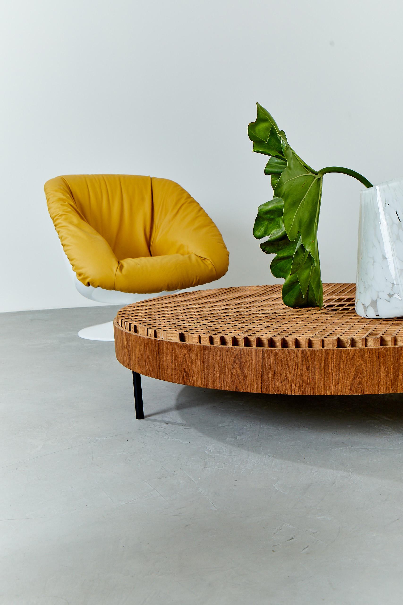 Table basse Mineira de Ronald Sasson, design contemporain brésilien en vente 2