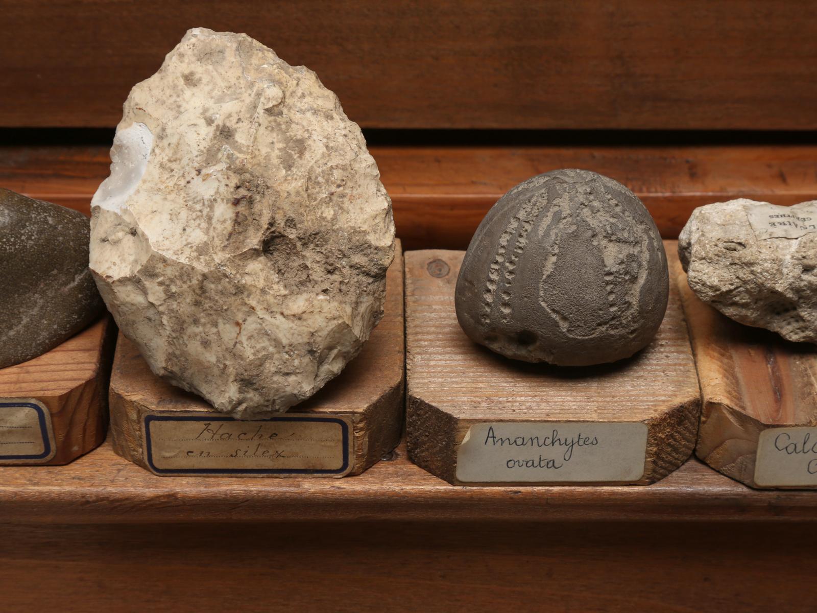 Mineraliensammlung:: aus einer Schule in Frankreich um 1891 6