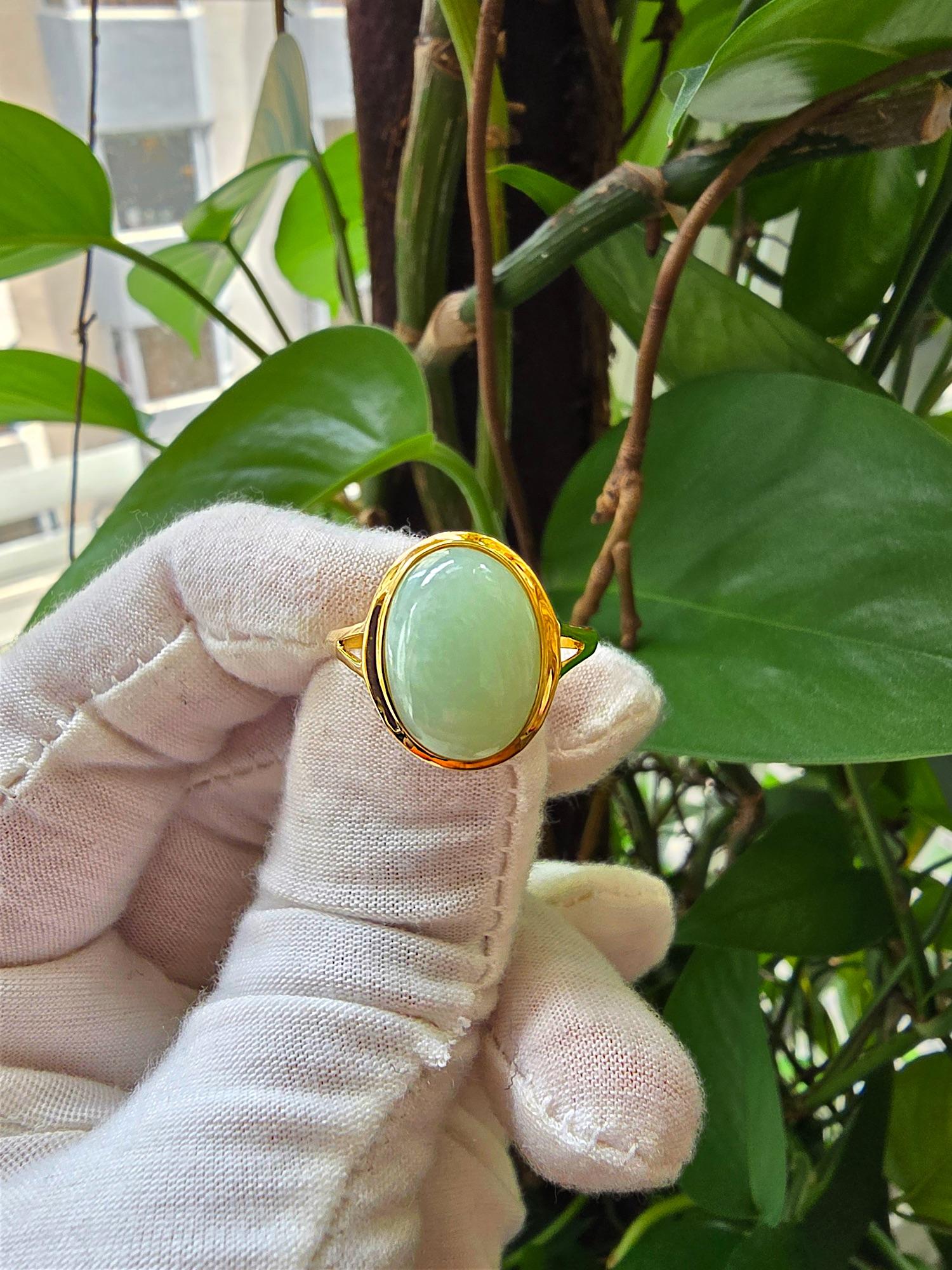 Ming Burmese Green A-Jadeite Jade Ring (with 14K Solid Yellow Gold) For Sale 7