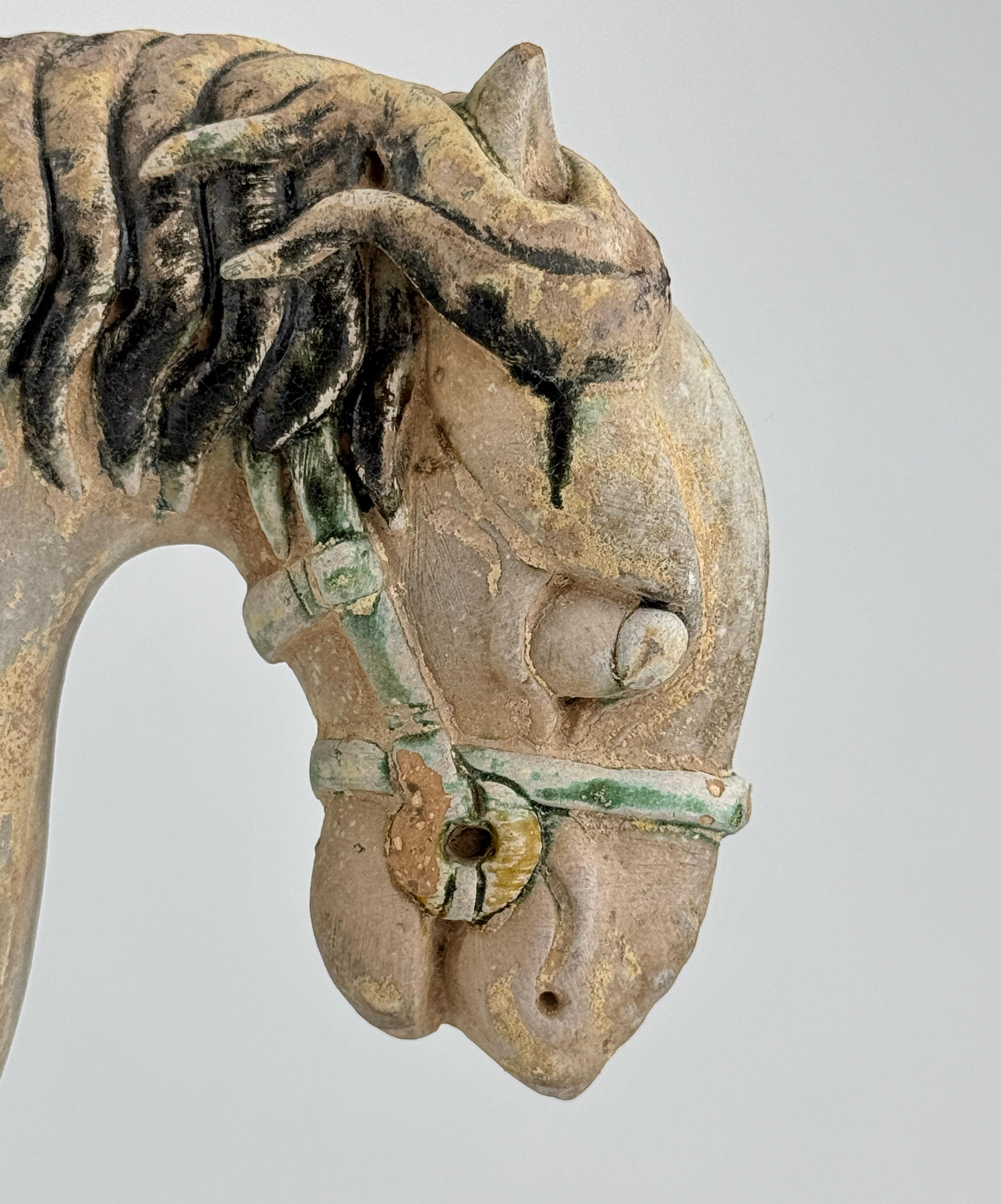 Ming Period Large Pottery Horse with Saddle (15-16th Century) In Good Condition For Sale In seoul, KR