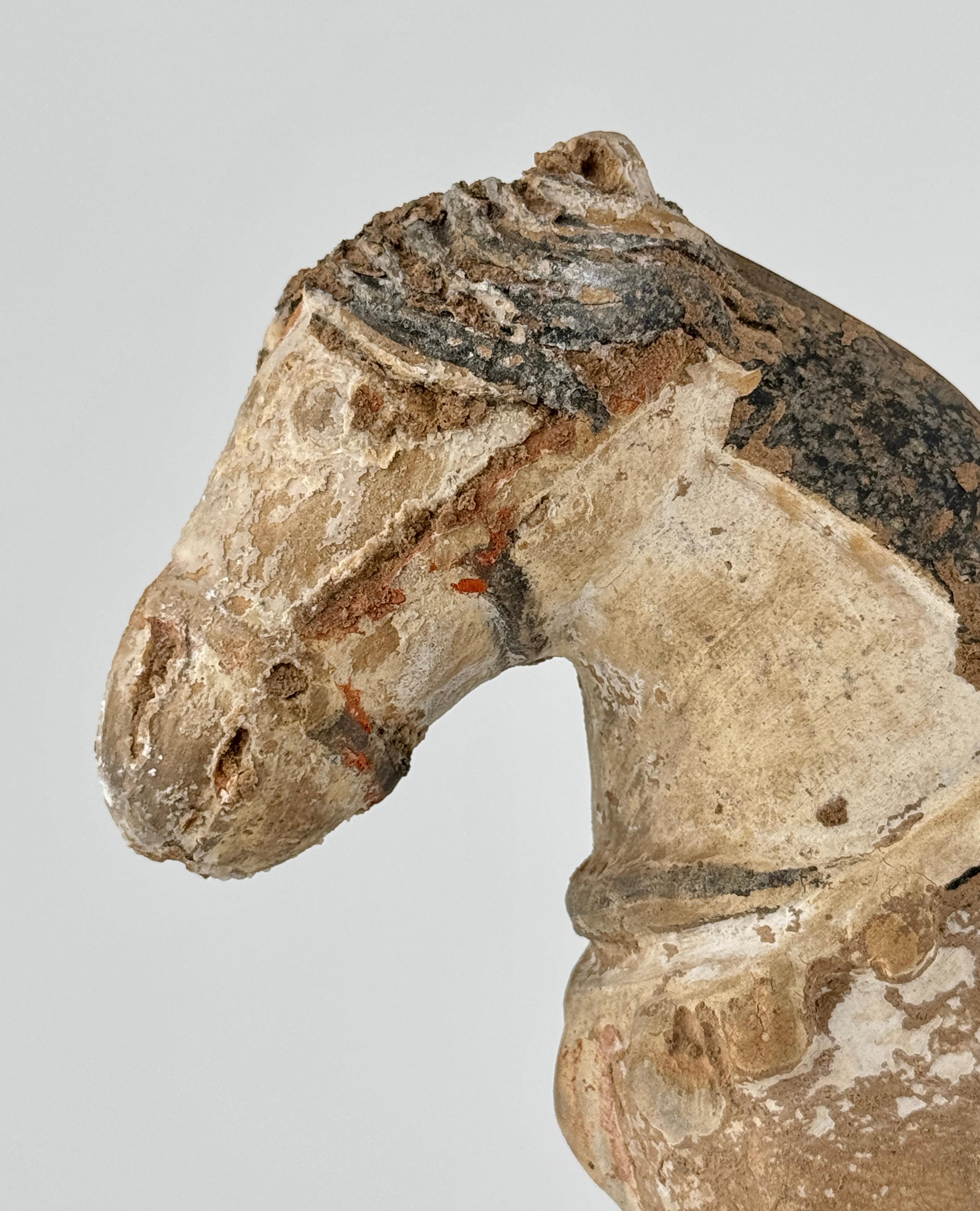 Ming Period Large Pottery Horse with Saddle (15-16th Century) In Good Condition For Sale In seoul, KR