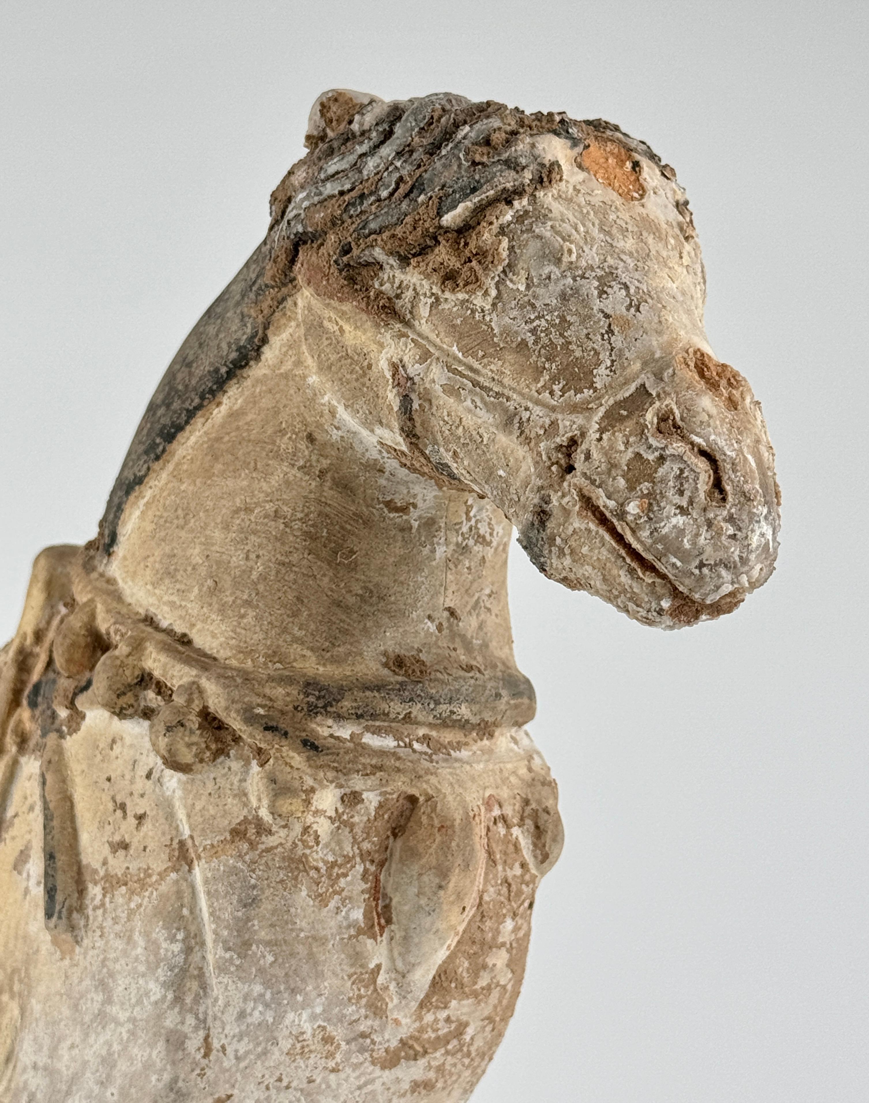 Ming Period Large Pottery Horse with Saddle (15-16th Century) For Sale 1