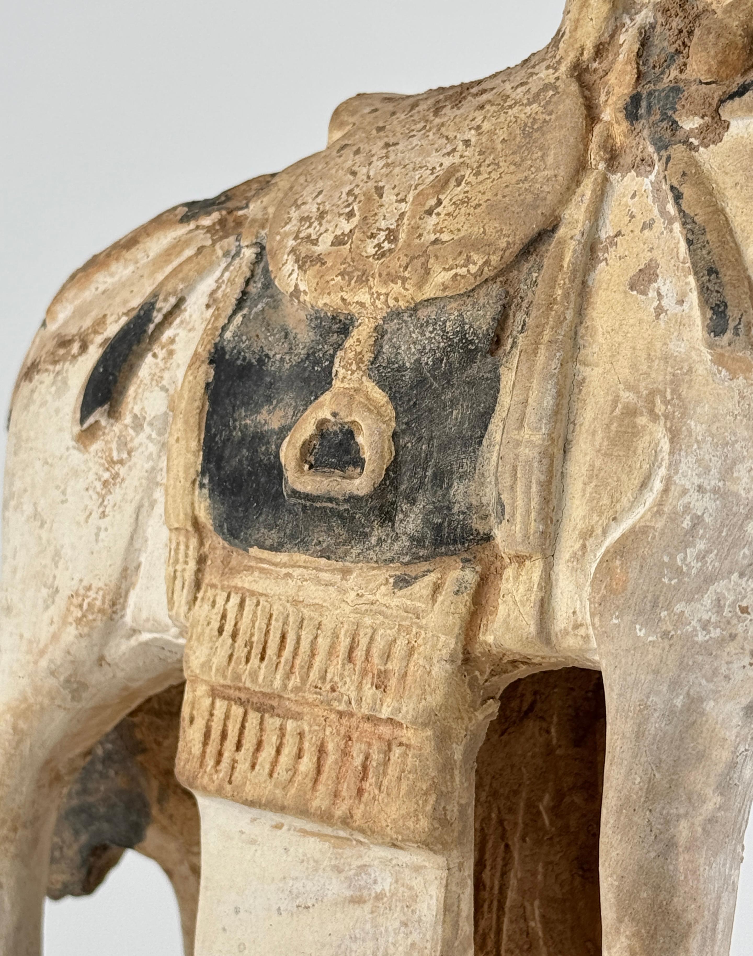 Ming Period Large Pottery Horse with Saddle (15-16th Century) For Sale 2