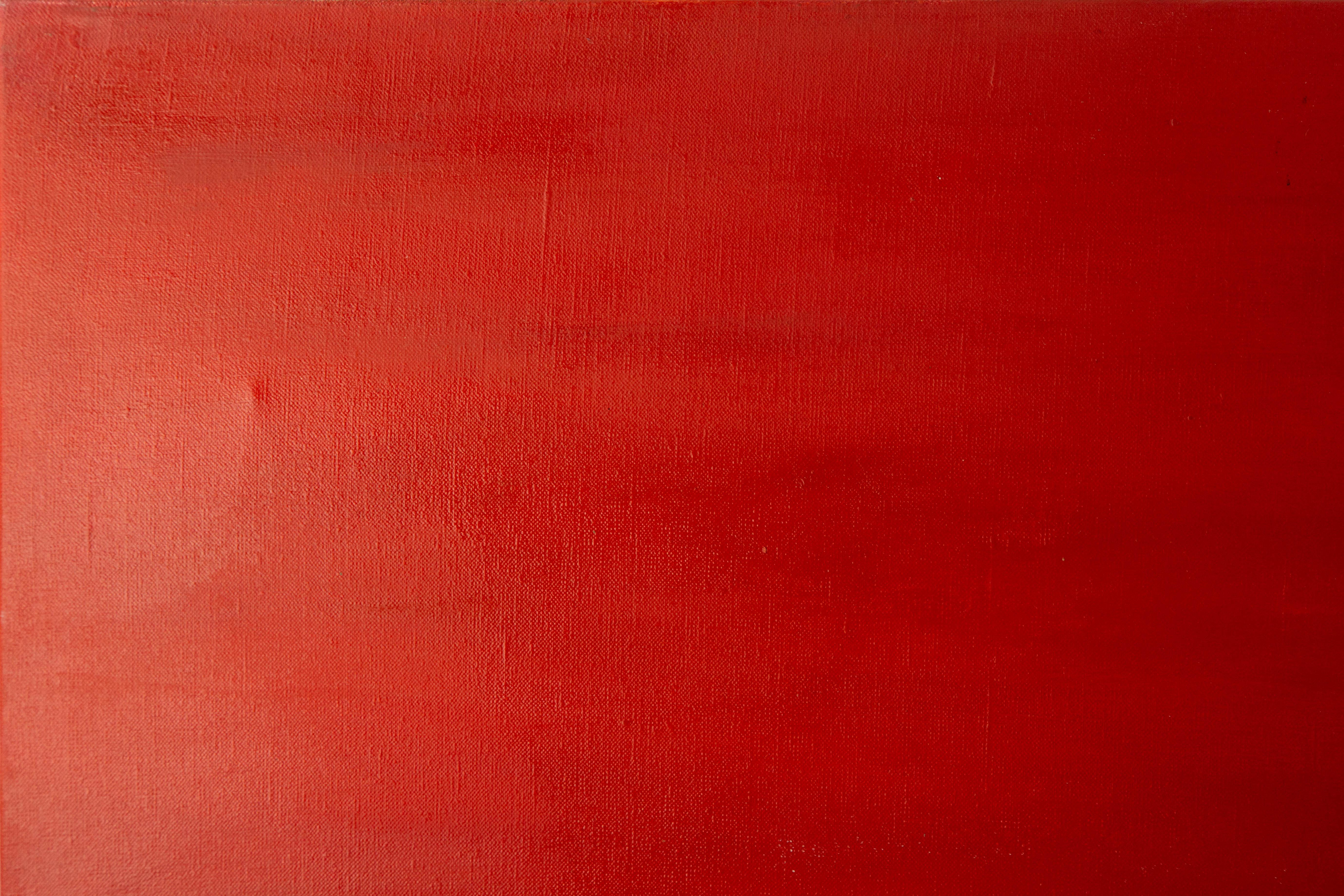 Mingjun Wang Animal Original Oil On Canvas 