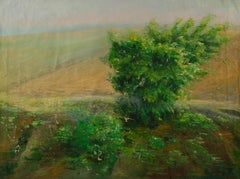Mingjun Wang Paesaggio Olio Originale Su Tela "Estate in Fiore"