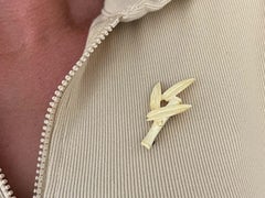 Mings Bamboo Bone Brooch