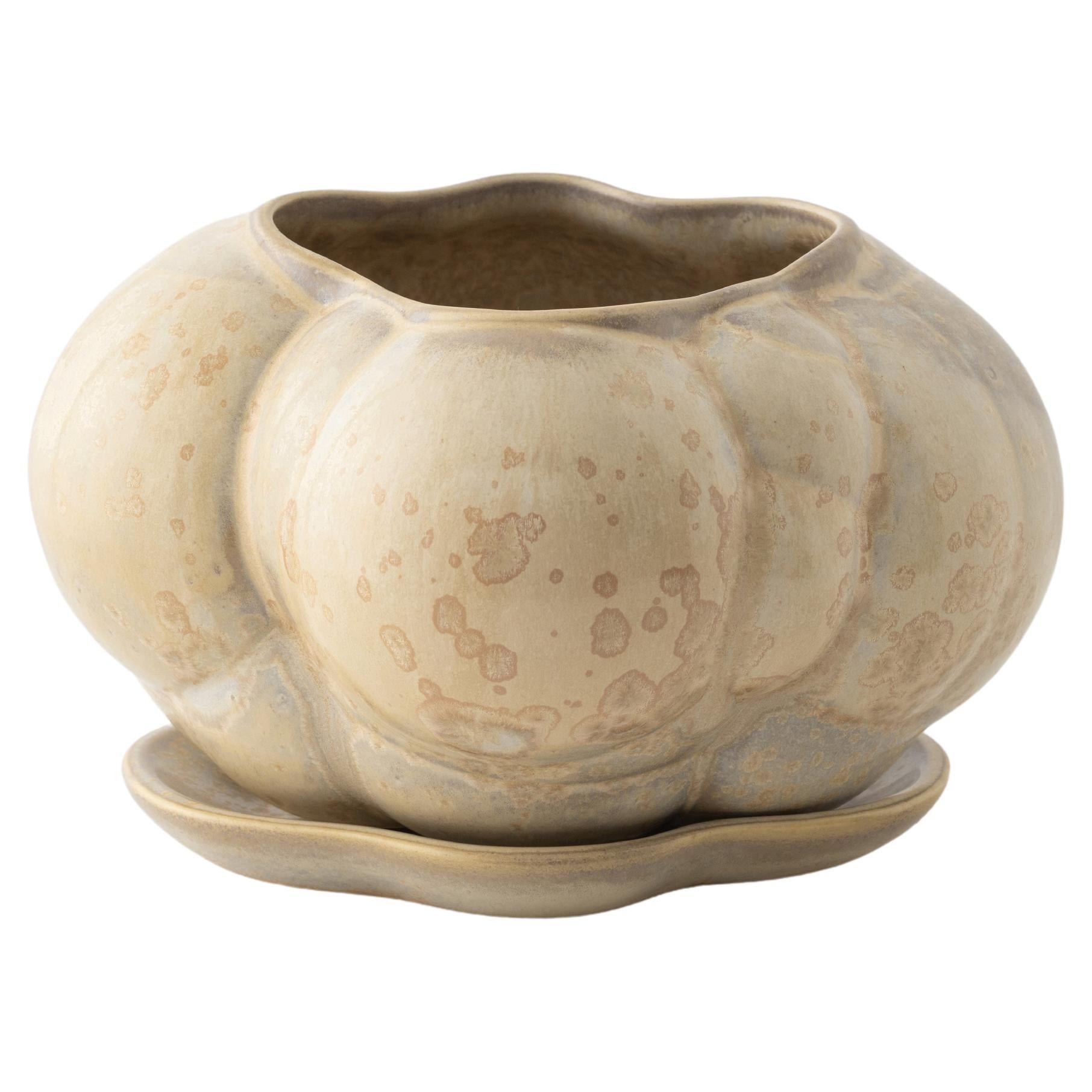 Mini jardinière Botryoidal crème de Forma Rosa Studio