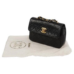 Mini Vintage Timeless Chanel Leather Bag
