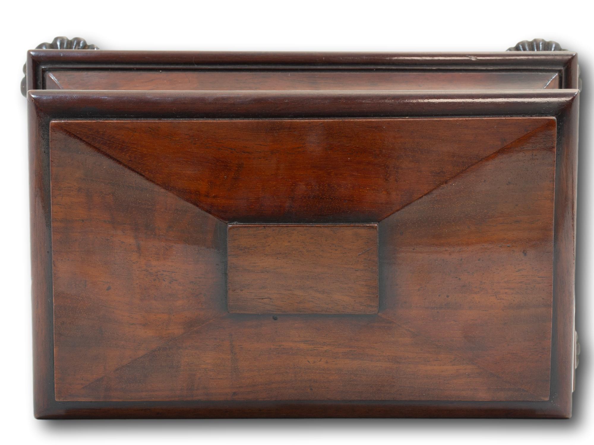 Miniature Antique Georgian Mahogany Sarcophagus Tea Caddy 2