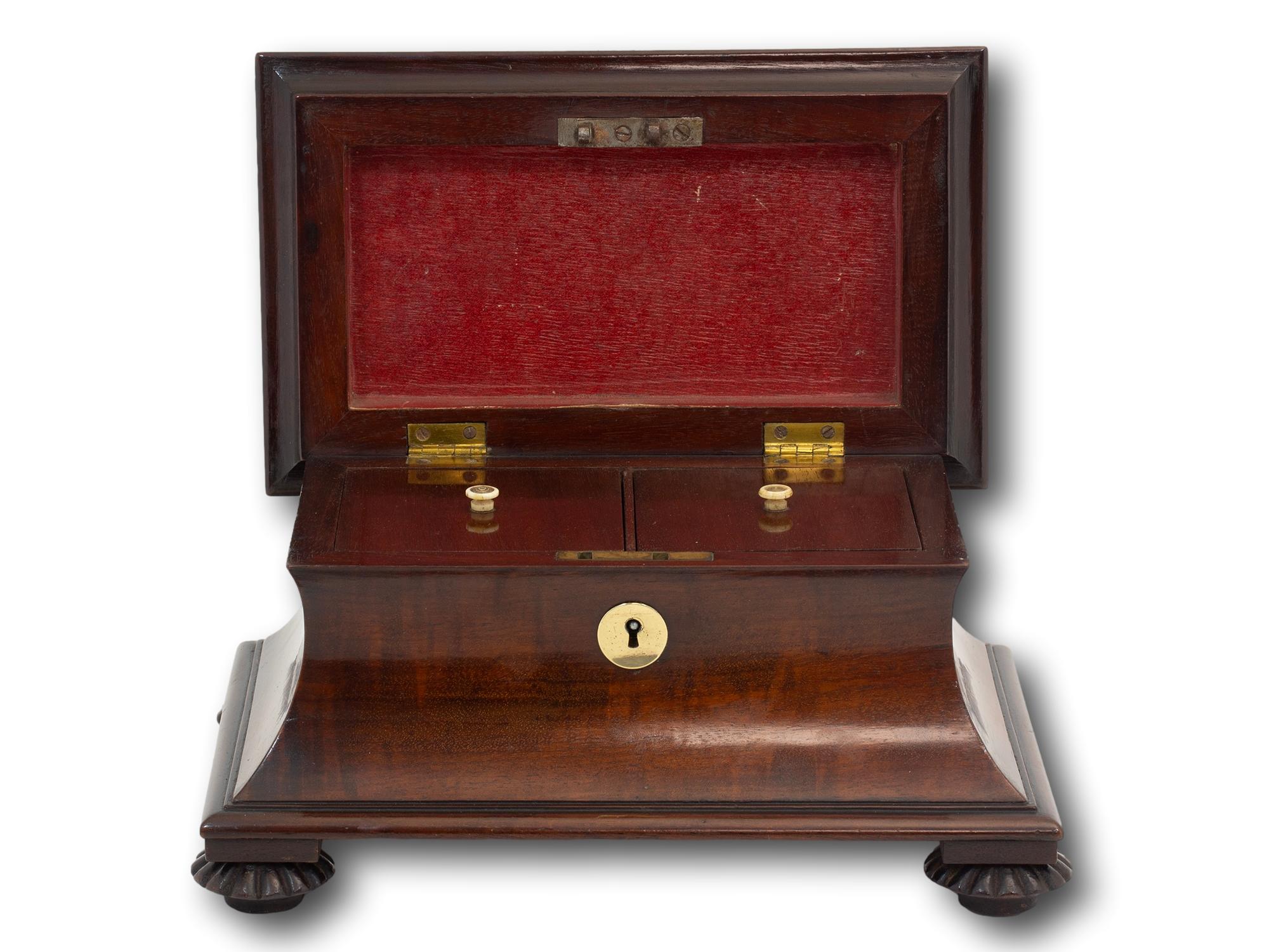 Miniature Antique Georgian Mahogany Sarcophagus Tea Caddy 4