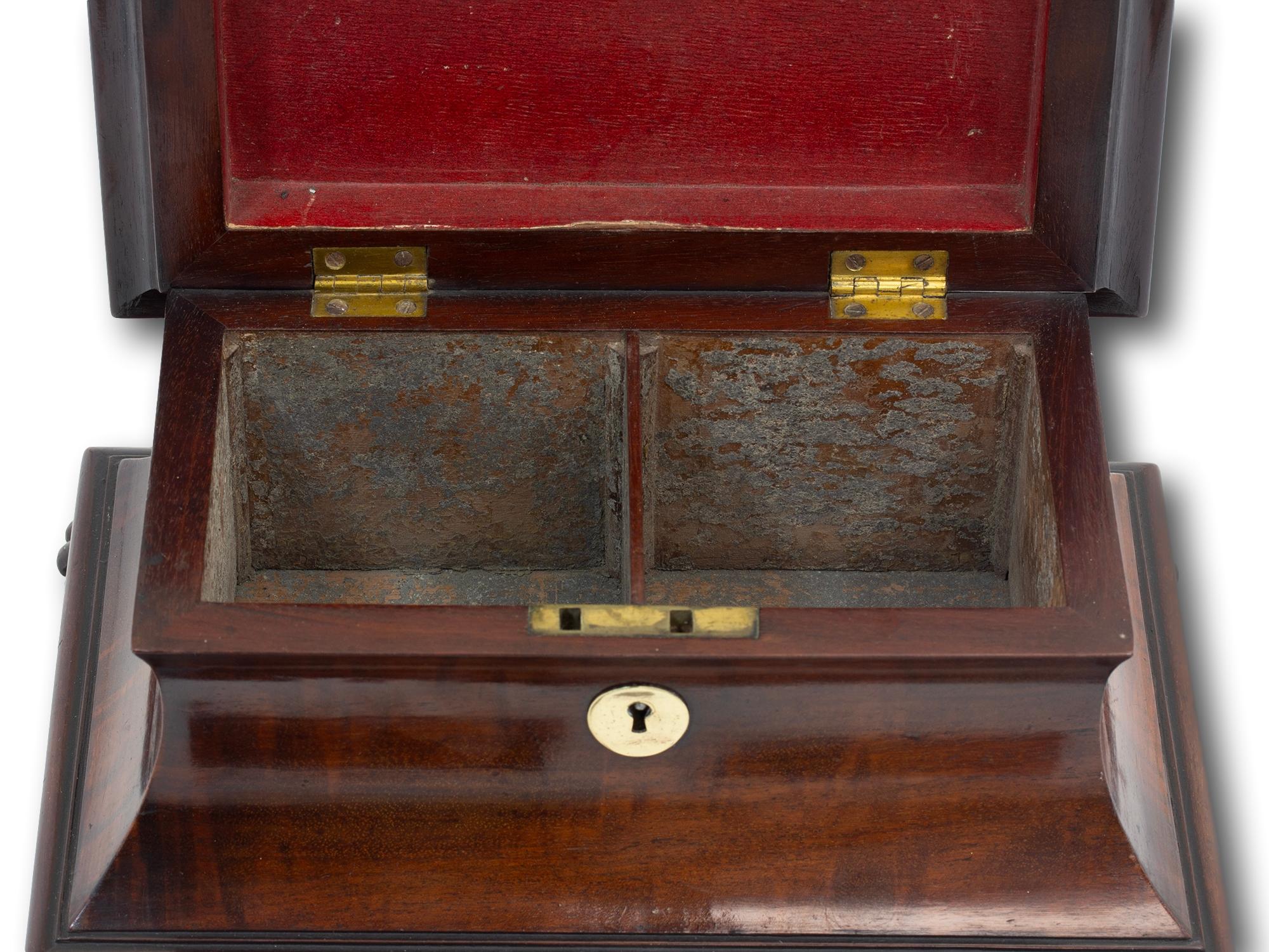 Miniature Antique Georgian Mahogany Sarcophagus Tea Caddy 6