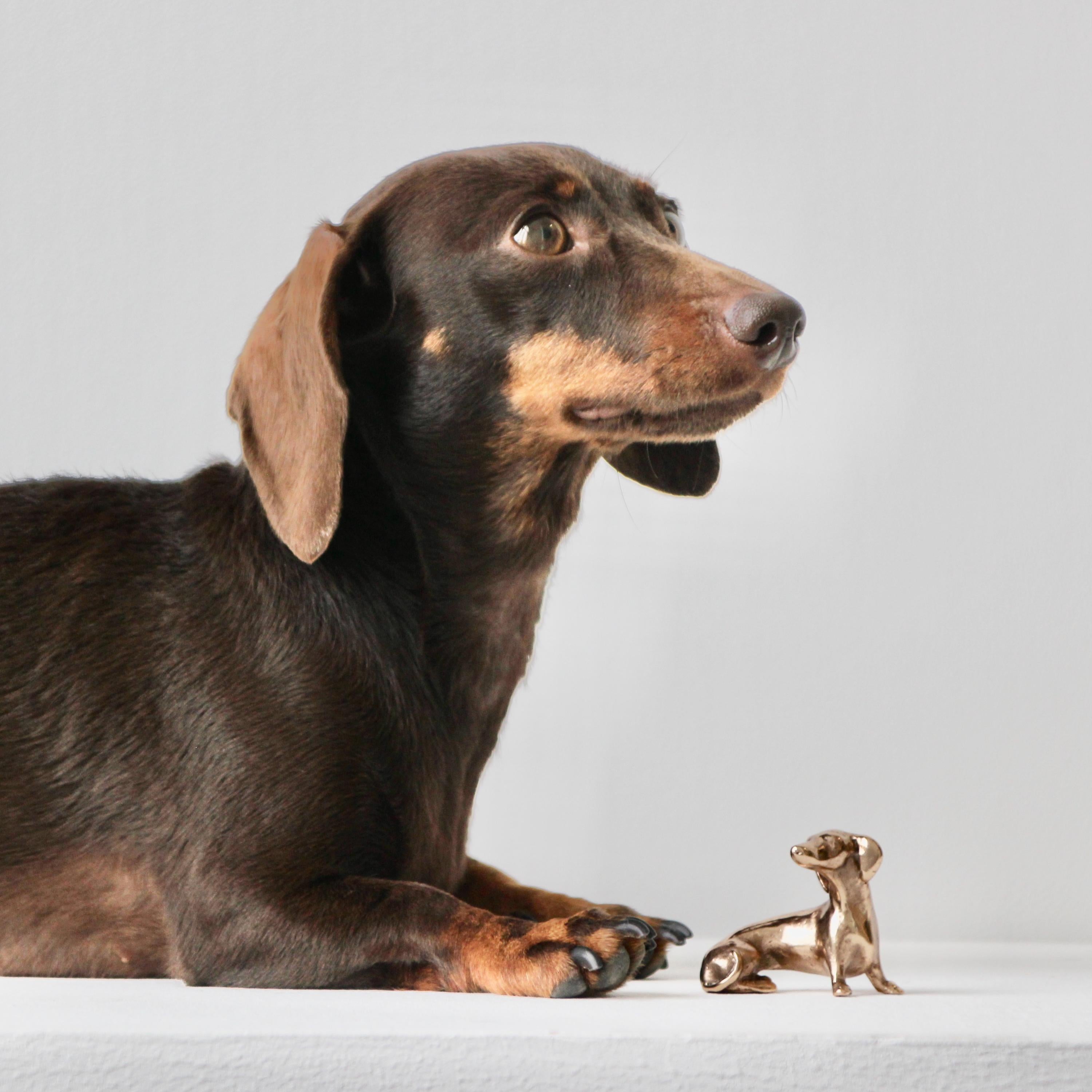 Escultura de bronce pulido fundido a mano del perro Teckel miniatura Neska, de Javier de la Rosa.

Javier de la Rosa ha creado una serie de esculturas en miniatura fundidas en bronce que celebran a los animales y la belleza de lo cotidiano. Neska es