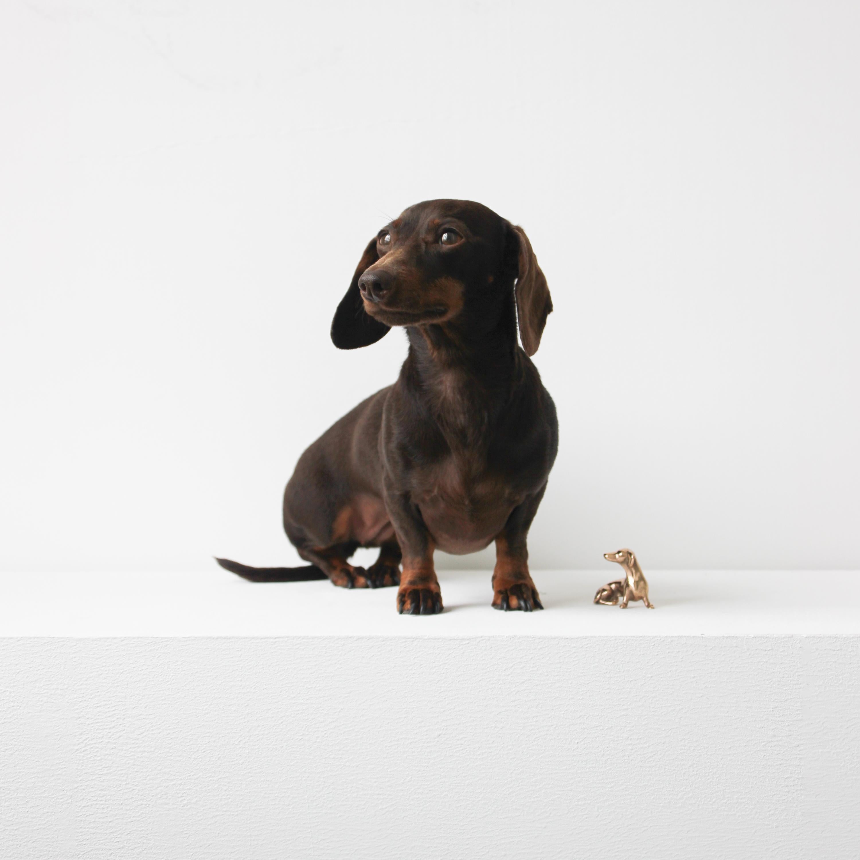 Escultura de bronce fundido a mano de perro miniatura Británico en venta
