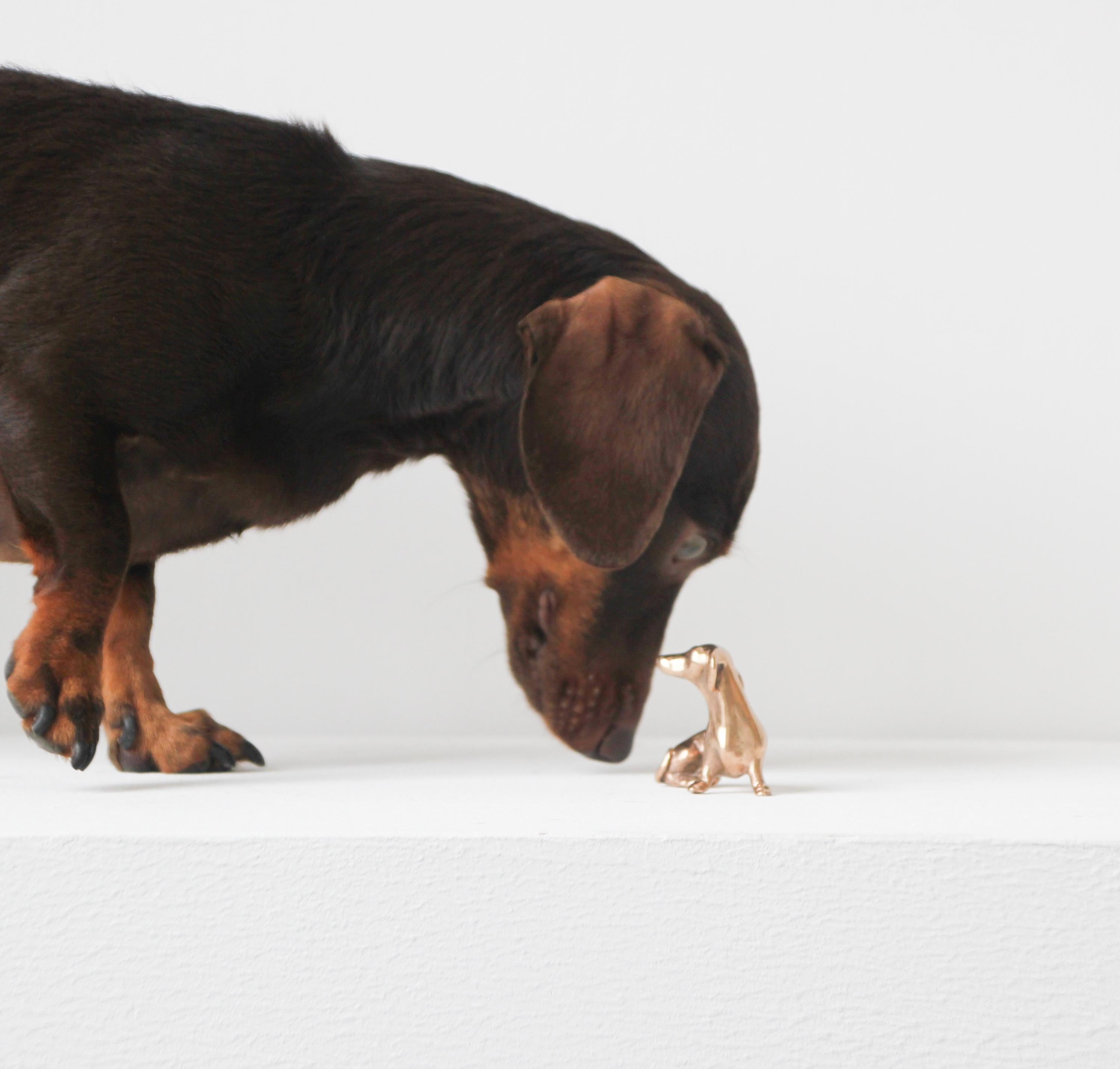 Escultura de bronce fundido a mano de perro miniatura Vaciado en venta