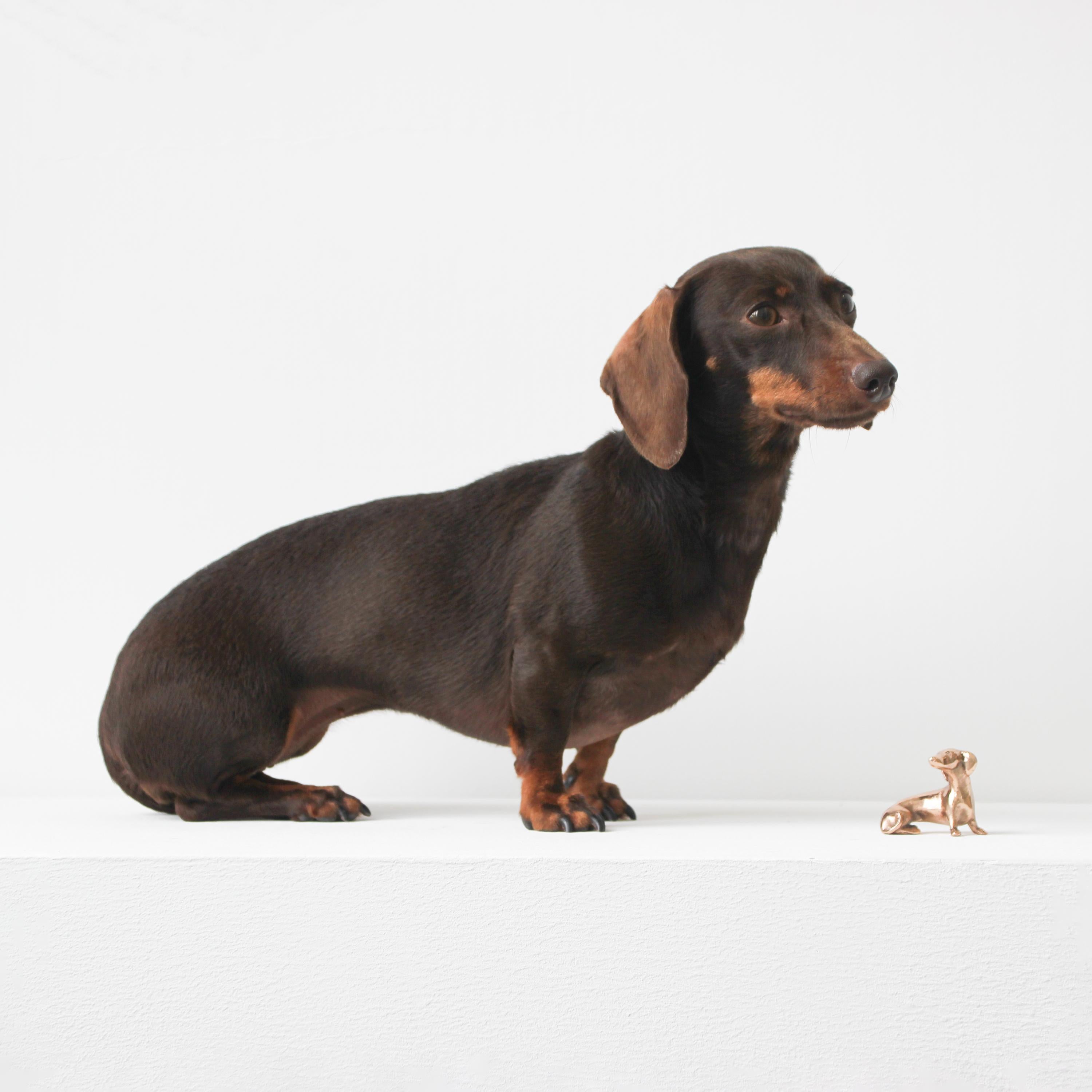 Escultura de bronce fundido a mano de perro miniatura Siglo XXI y contemporáneo en venta