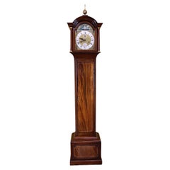 Boxwood Clocks