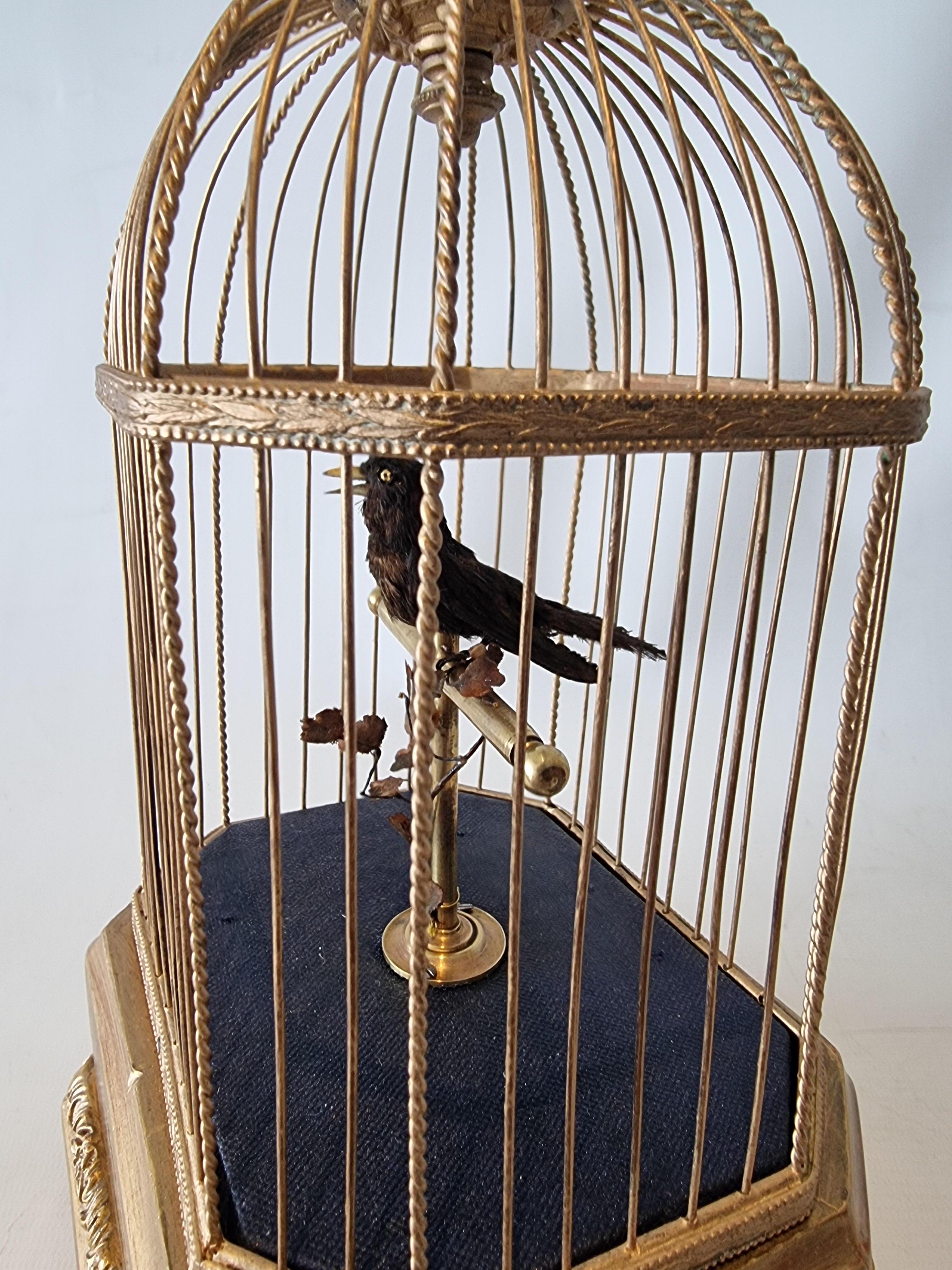 A very good  single singing bird in cage, by Karl Griesbaum,
 
German
 
Circa 1940
 
Continuous and paused action
 
A petit wonder of style and grace...
 
When wound and the start/stop/pause lever actuated, the bird on perch springs into life by