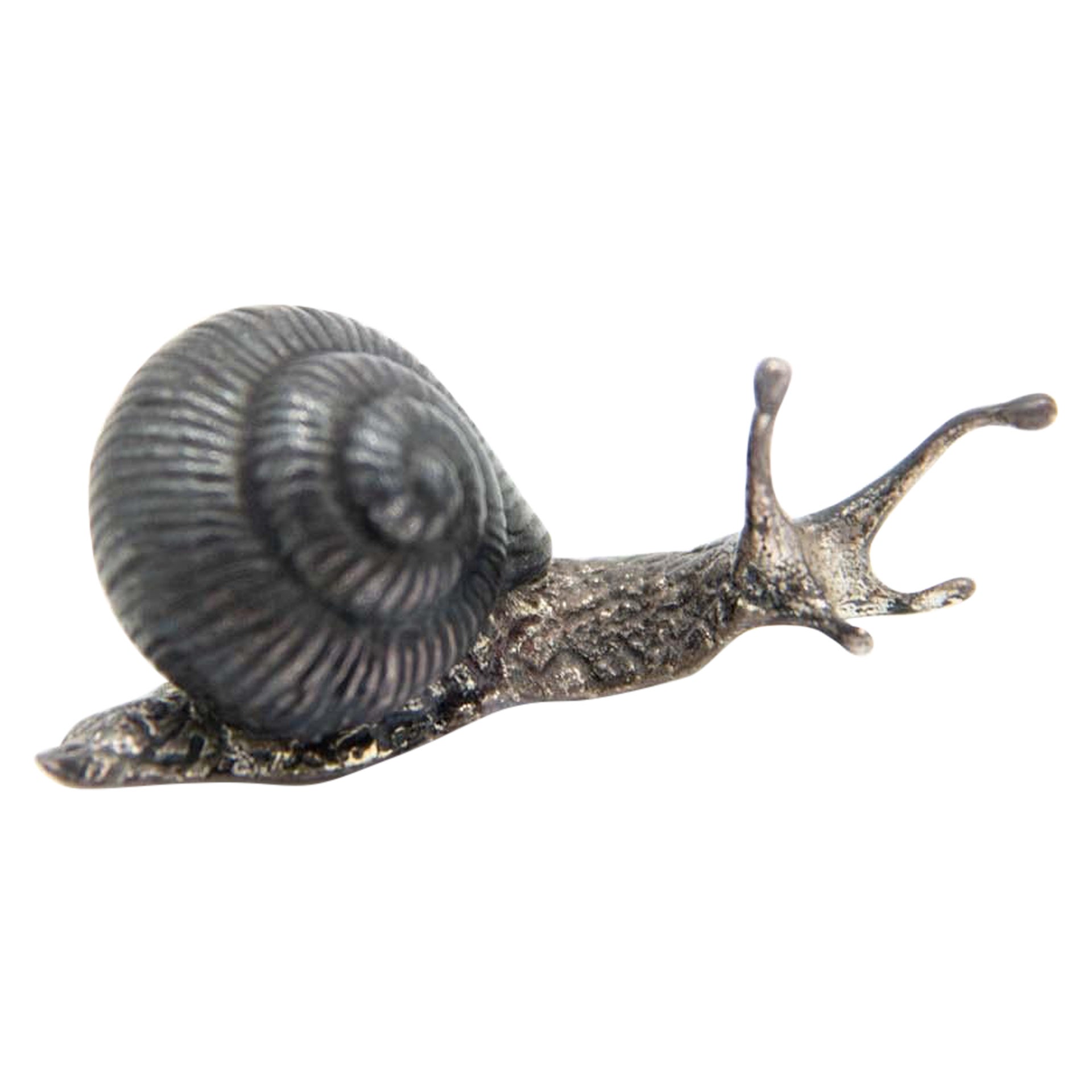 Miniature snail in nickel silver
