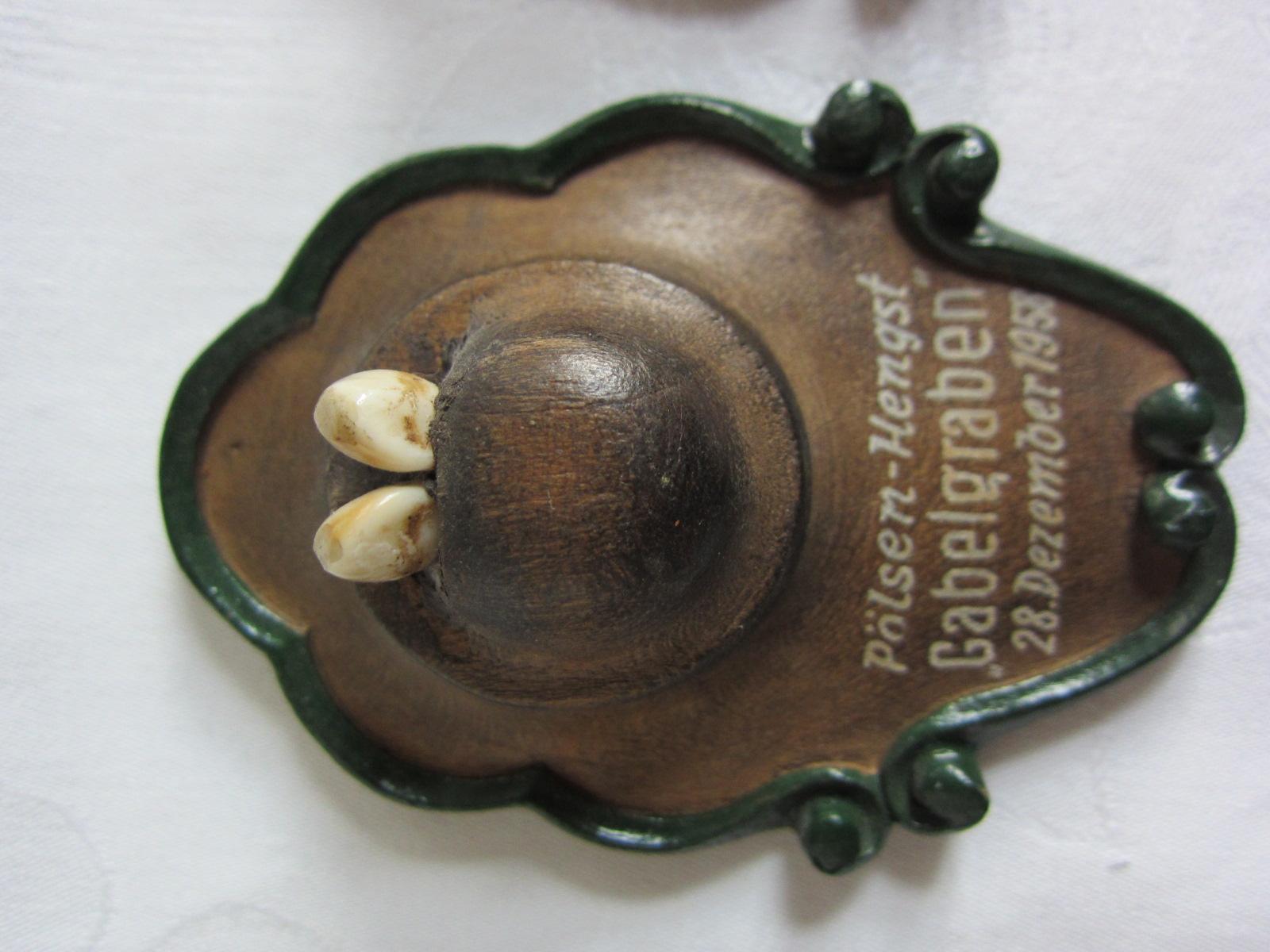 European Miniature Taxidermy