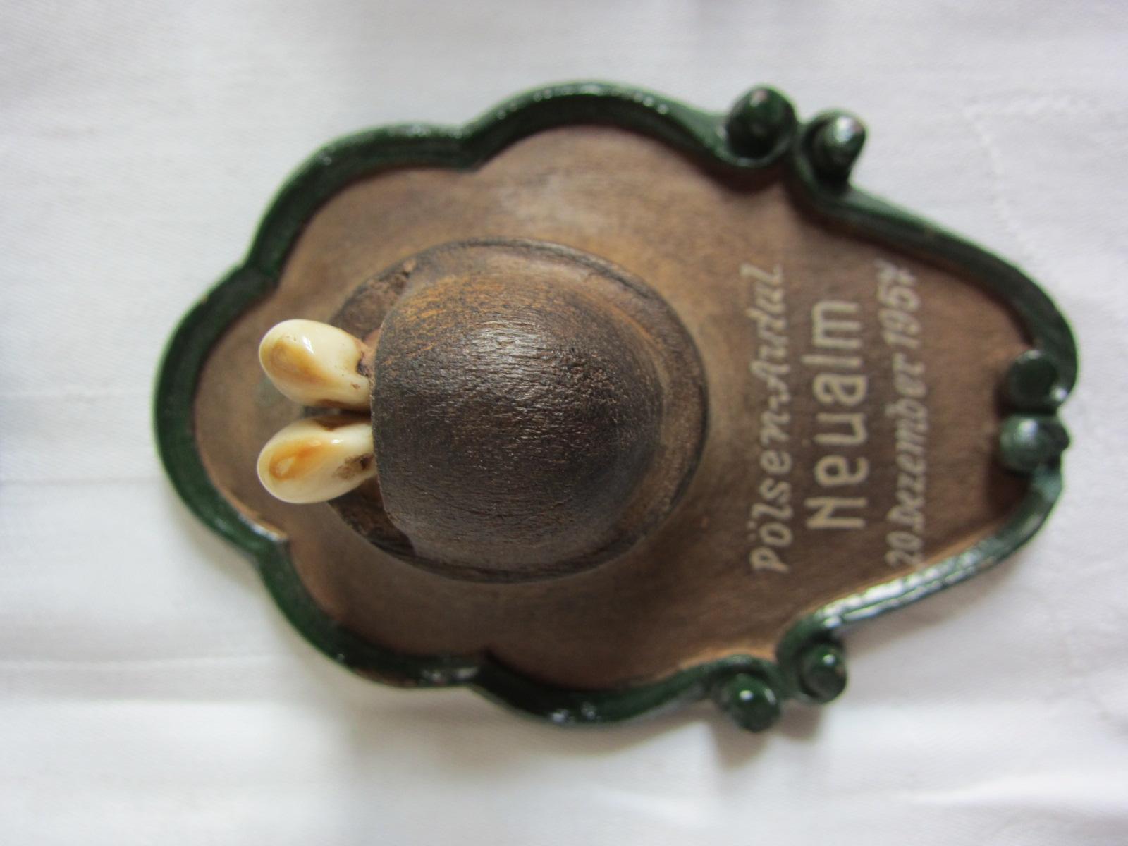 Miniature Taxidermy In Good Condition In Vienna, AT