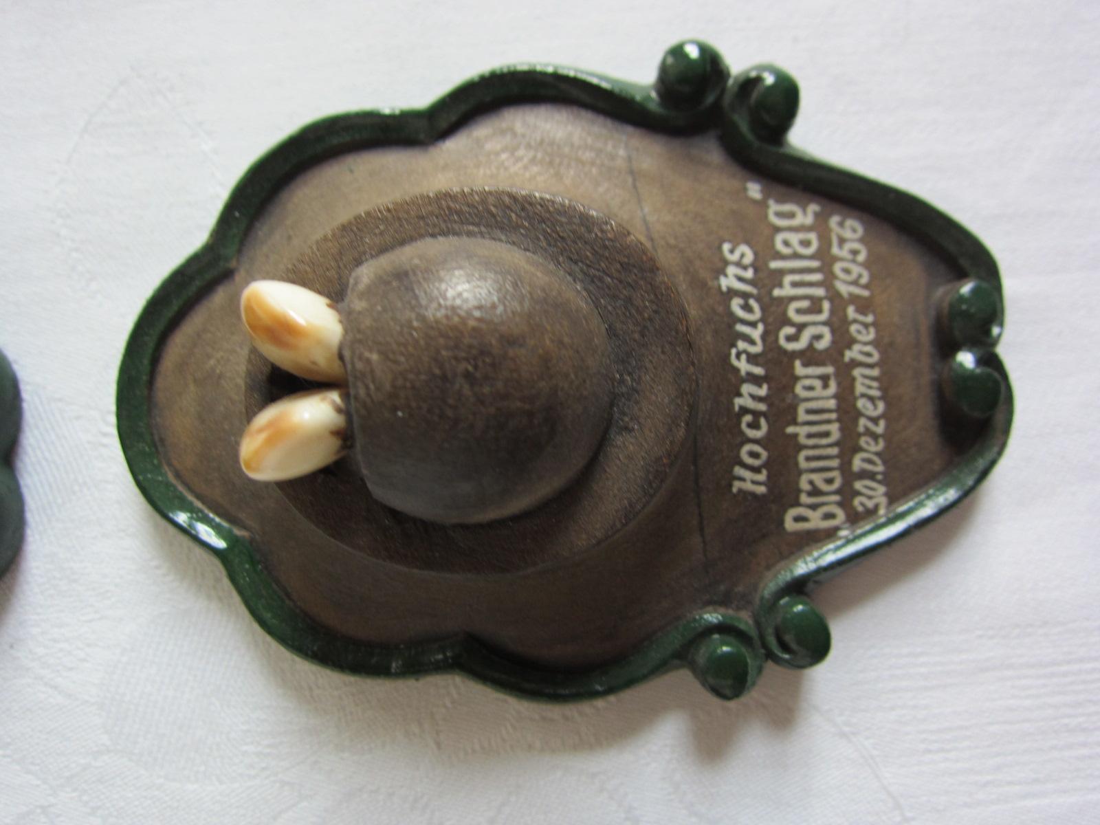 Bone Miniature Taxidermy