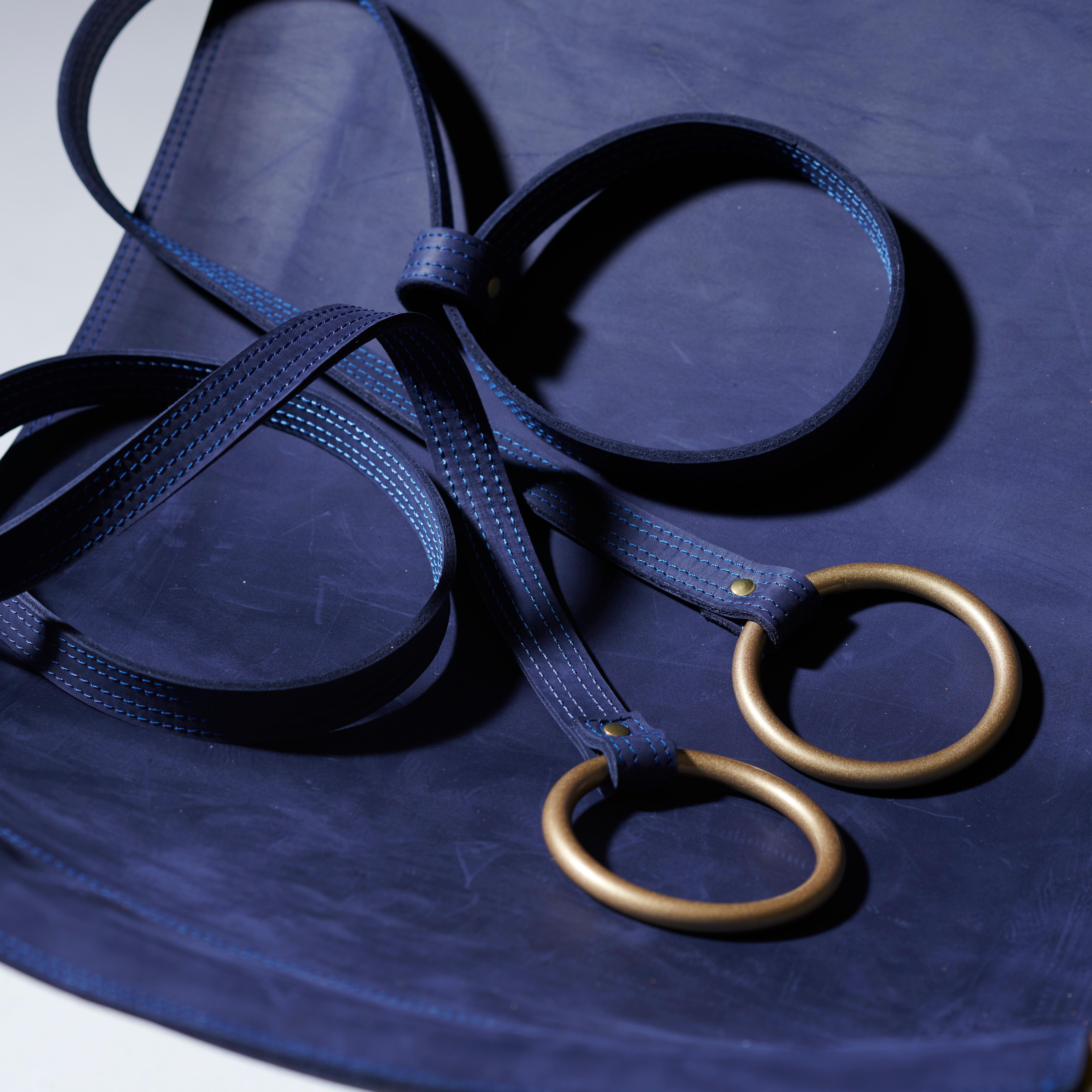 Contemporary Minimal Modern 1 of a Kind Blue and Gold Sling Hanging Chair