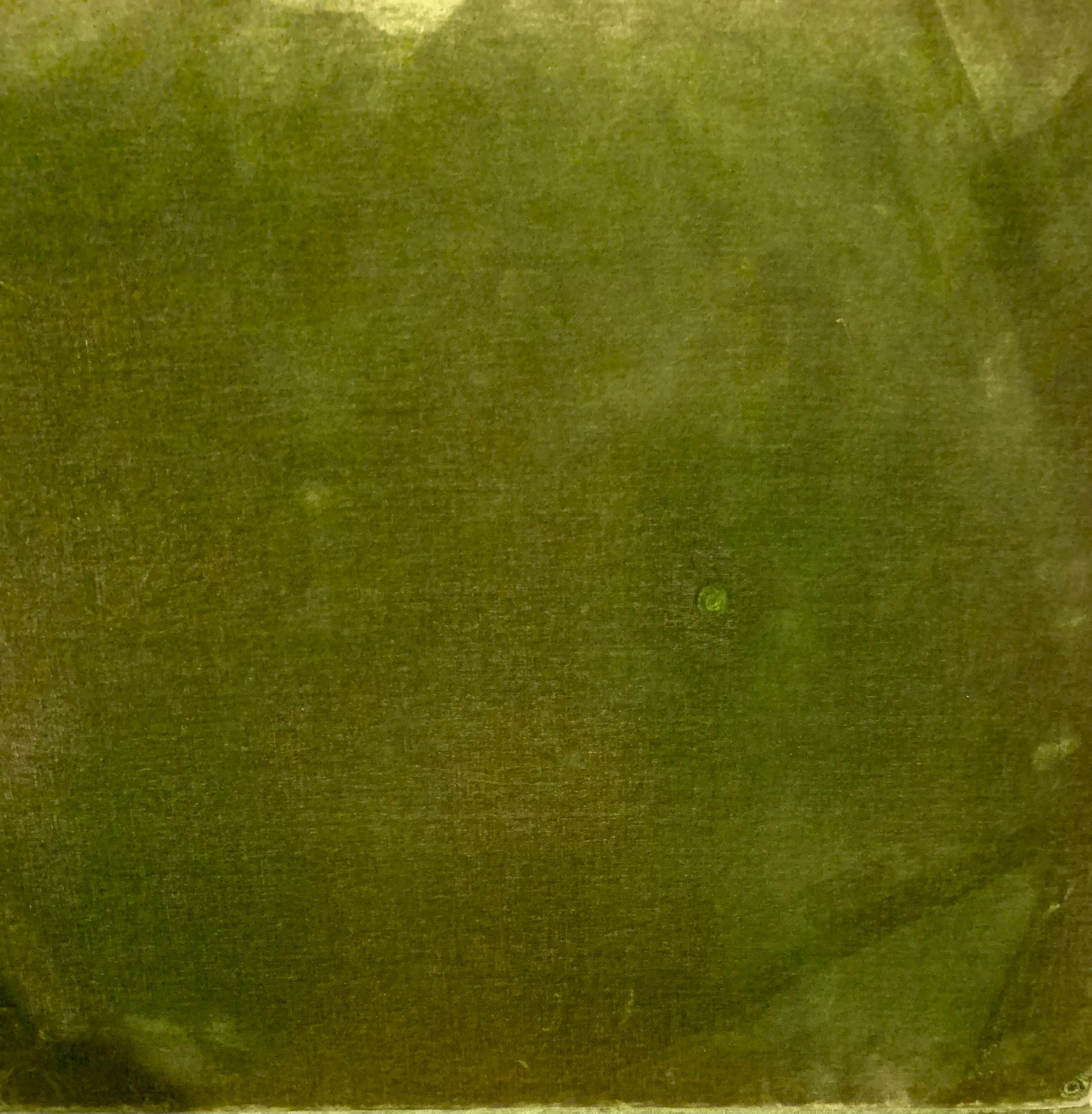 Minimal Vintage Green Silk Velvet Upholstered Occasional Table 2