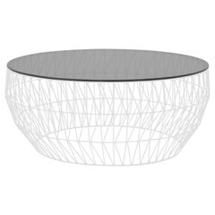 Minimalist Coffee Table, Wire Center Table in White with Smoked Glass
