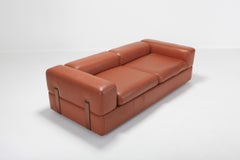 Minimalist Cognac Leather Sofa by Tito Agnoli for Cinova