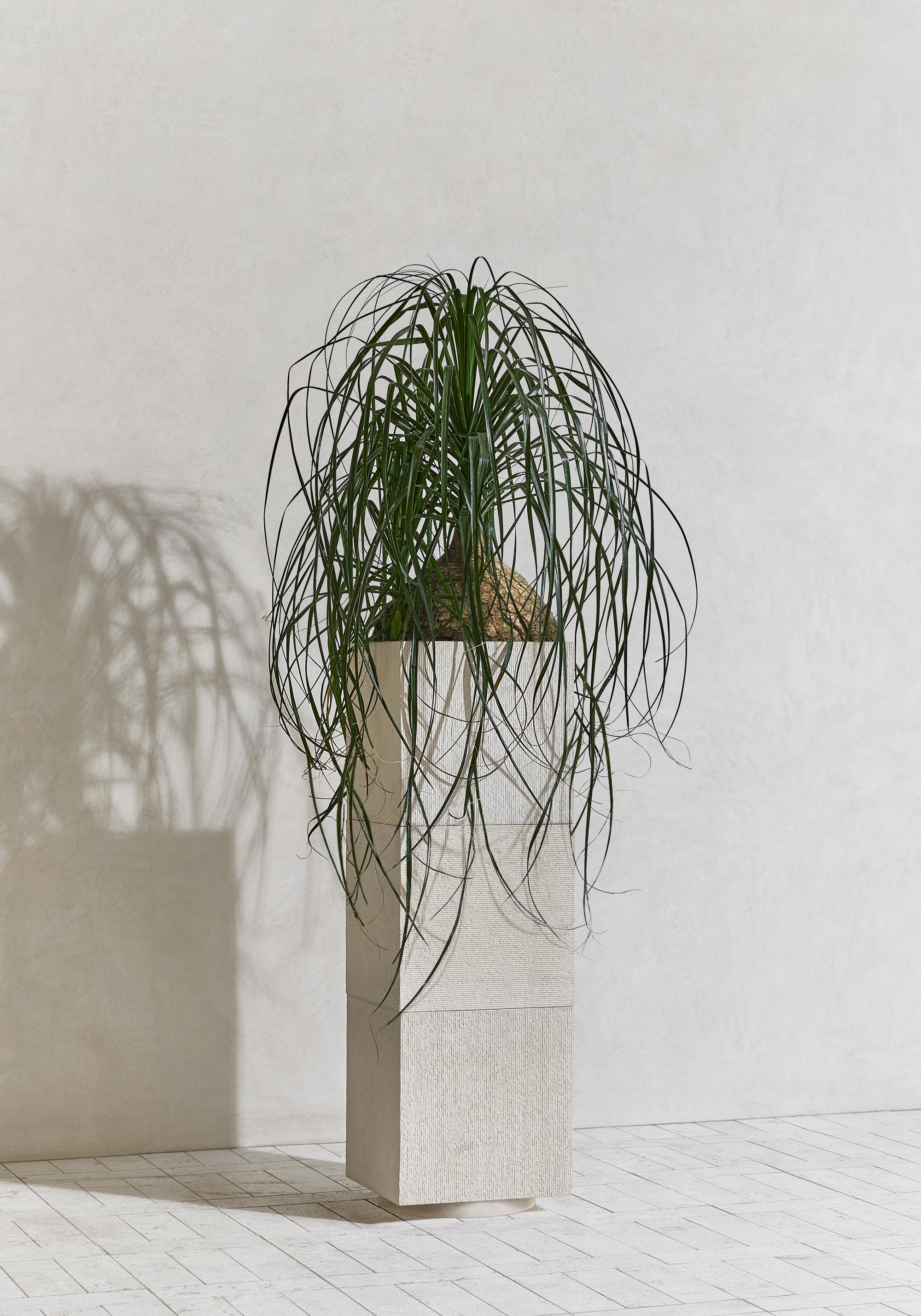 American Minimalist concrete column planter, APOLLO III by Sirak (medium height) For Sale
