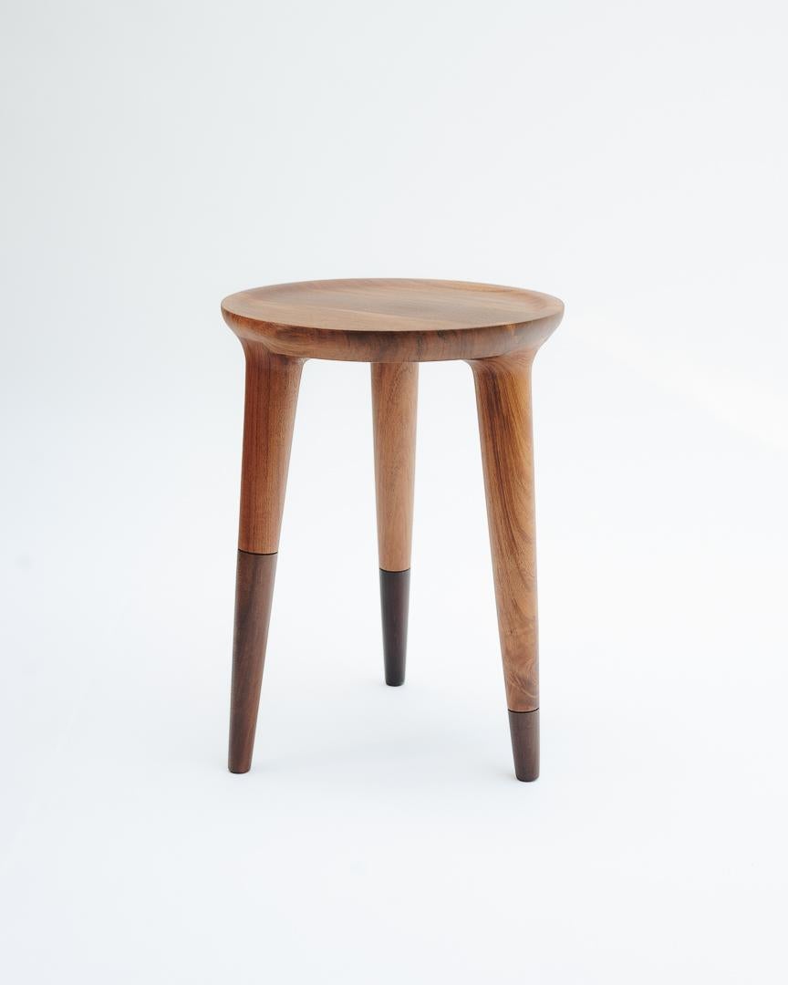 Contemporary Minimalist Modern Low Side Table in Tropical Hardwood For Sale