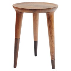 Minimalist Modern Low Side Table in Tropical Hardwood