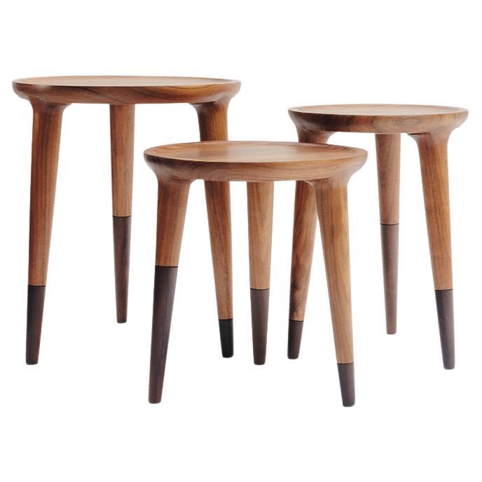 Minimalist Modern Side Tables Set in Tropical Hardwood  For Sale